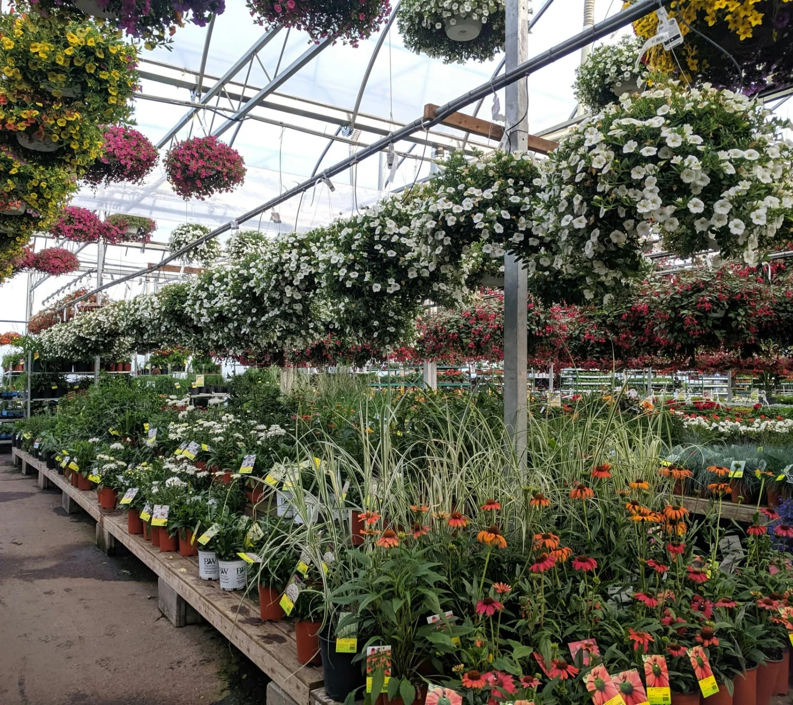 Horticulture
