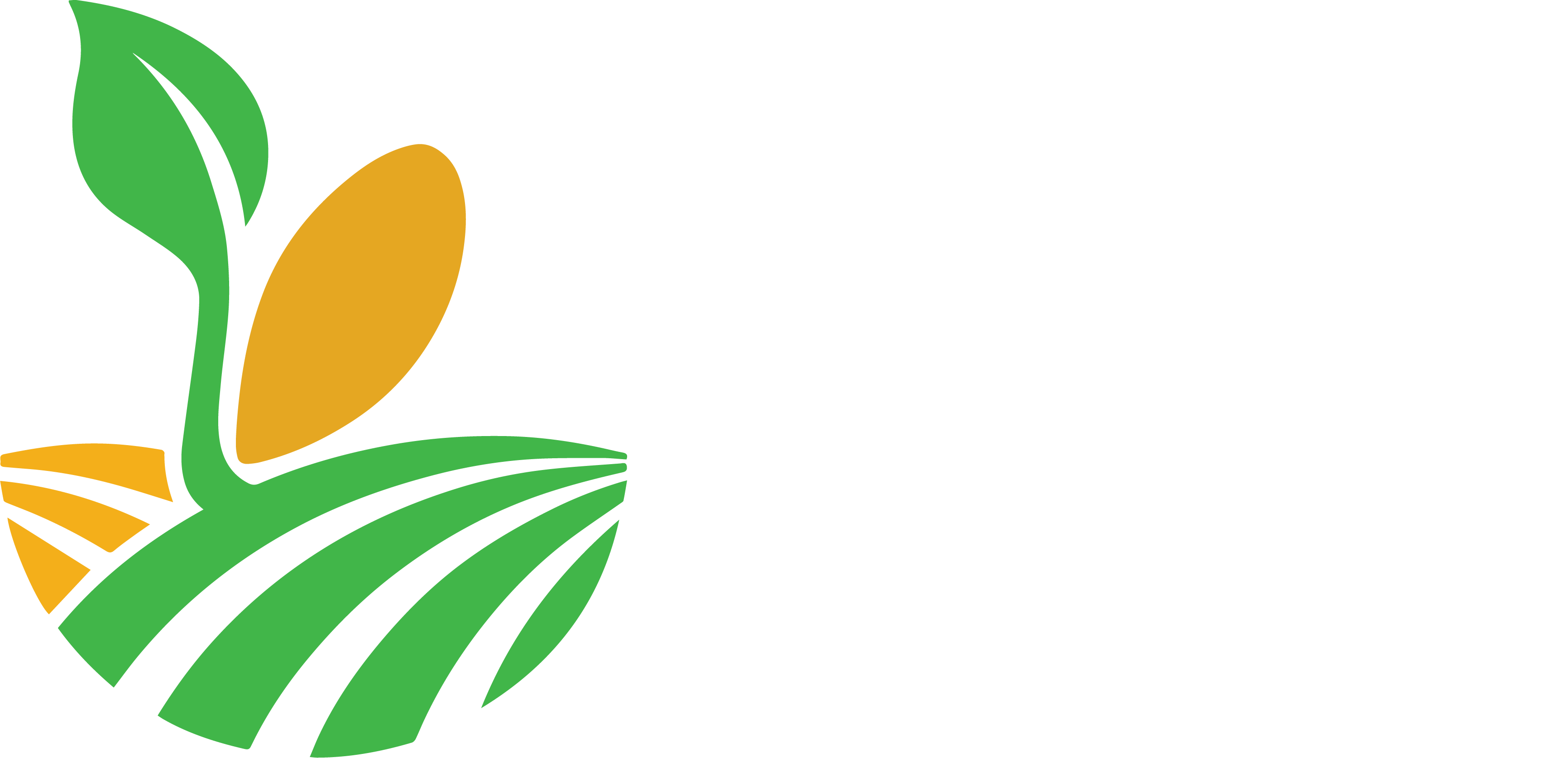 Lipton Quality Solutions